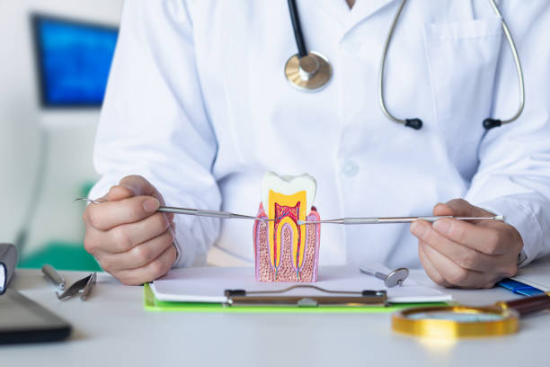 Best Emergency Wisdom Tooth Extraction in Black Creek, WI